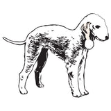 Bedlington Terrier Dog Decal