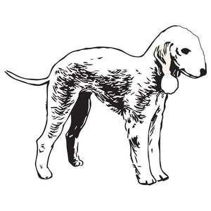 Bedlington Terrier Dog Decal
