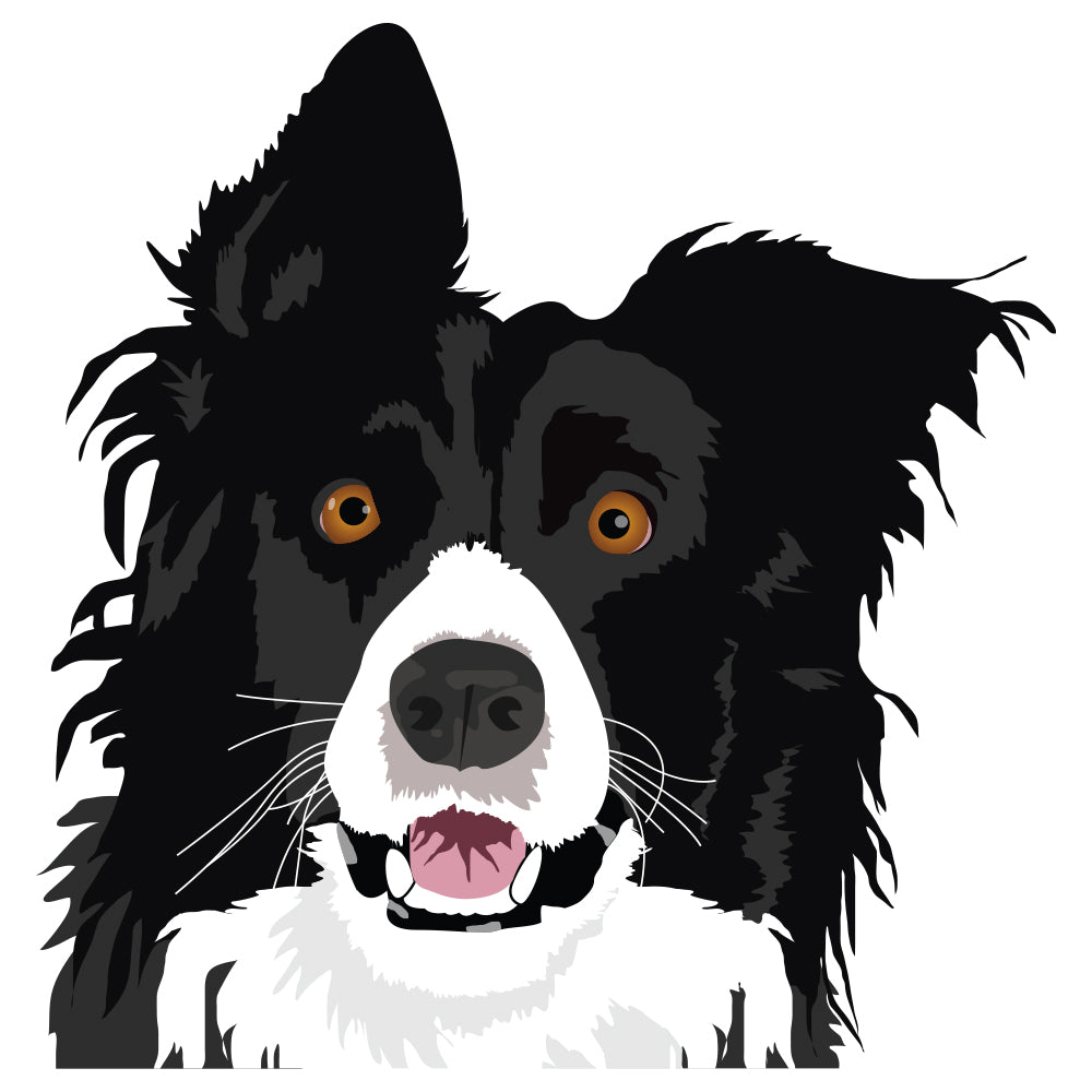 Border Collie Dog Decal