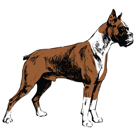 Boxer Dog Decal
