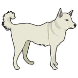 Canaan Dog Dog Decal
