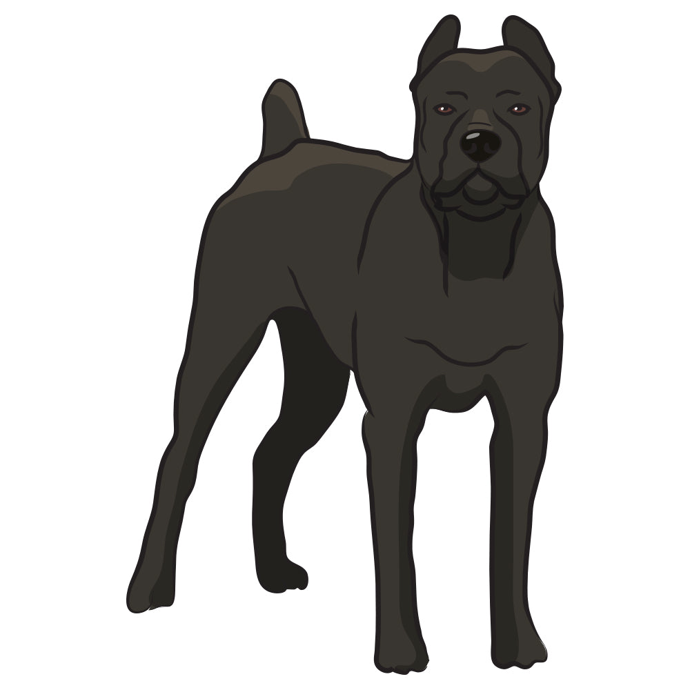Cane Corso Dog Decal