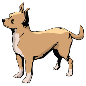 Chihuahua Dog Decal