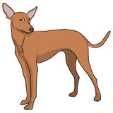 Cirneco Delletna Dog Decal