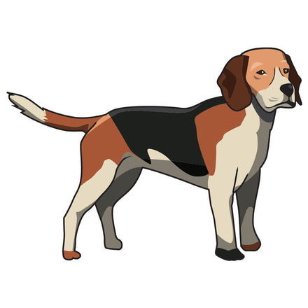 English Foxhound Dog Decal