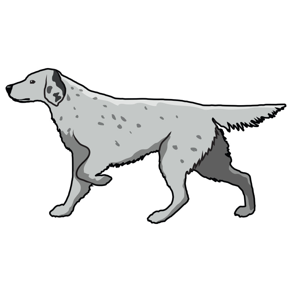 English Setter Dog Decal