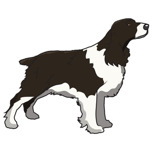 English Springer Spaniel Dog Decal