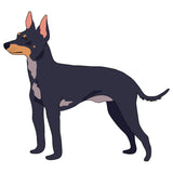 English Toy Terrier Dog Decal