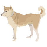 Finnish Spitz Dog Decal