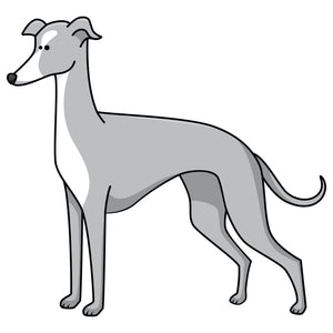 Greyhound Dog Decal