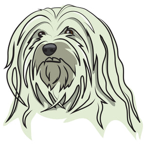 Havanese Dog Decal