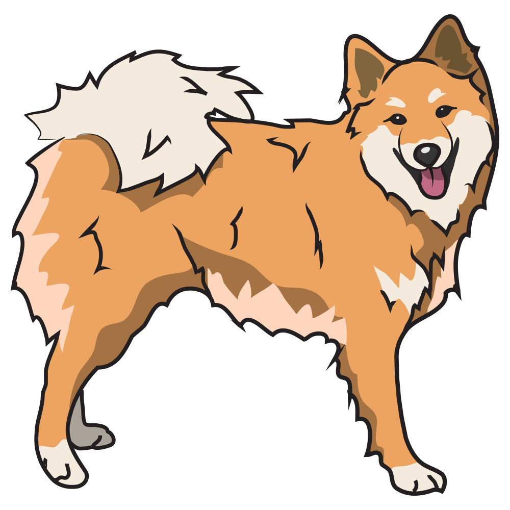 Icelandic Sheepdog Dog Decal