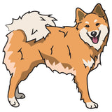 Icelandic Sheepdog Dog Decal