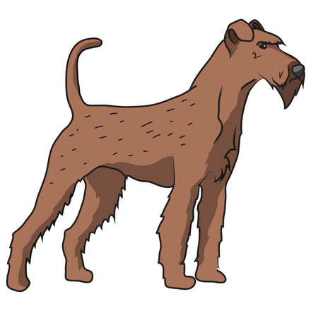 Irish Terrier Dog Decal