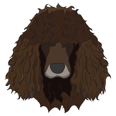 Irish Water Spaniel Dog Decal