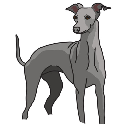 Italian Greyhound Dog Decal