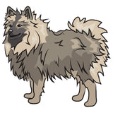 Keeshonden Dog Decal