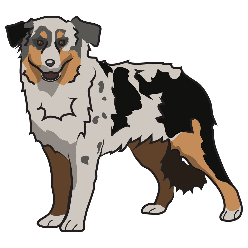 Miniature American Shepherd Dog Decal