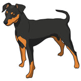 Miniature Pinscher Dog Decal
