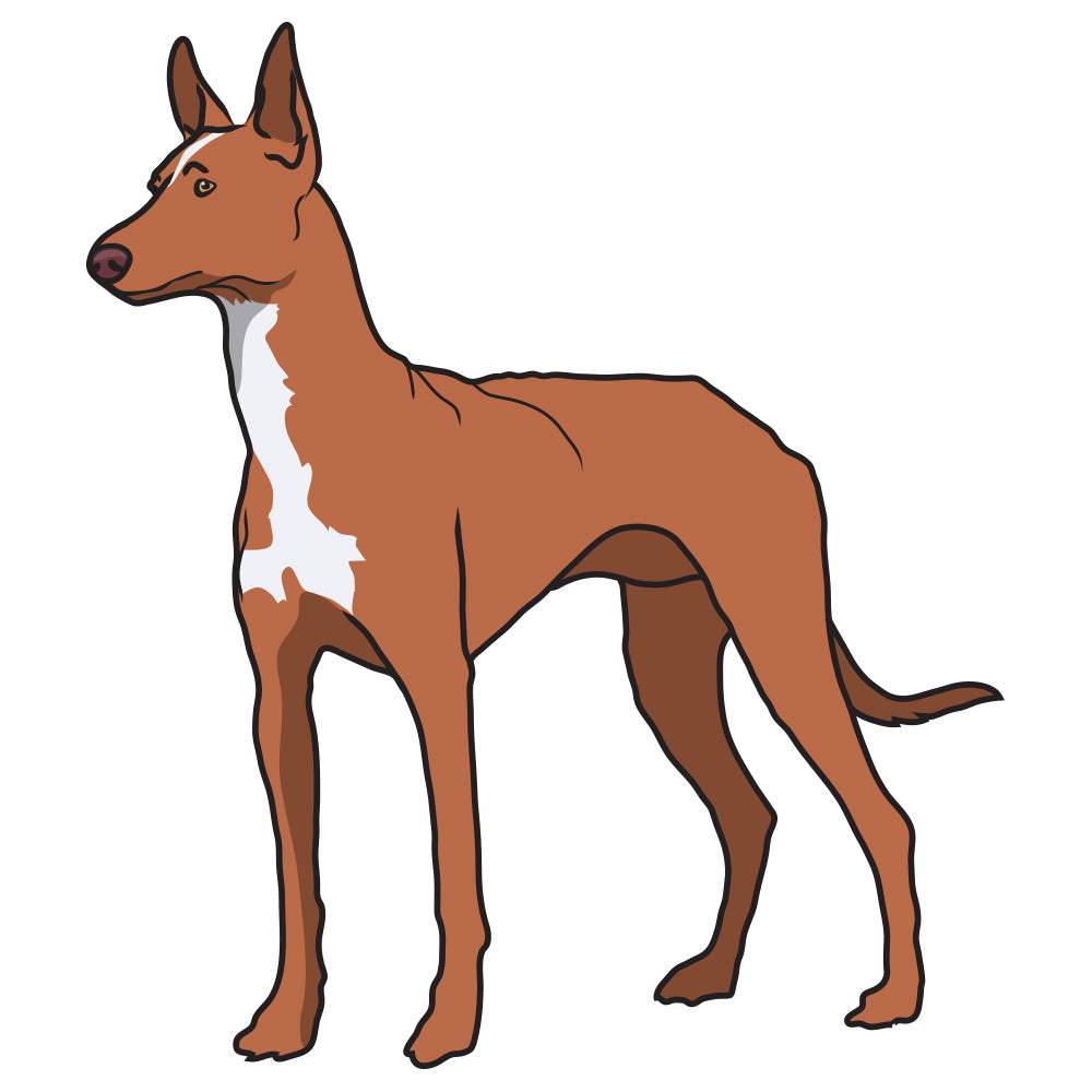Pharaoh Hound Dog Decal
