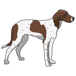 Pointer Dog Decal