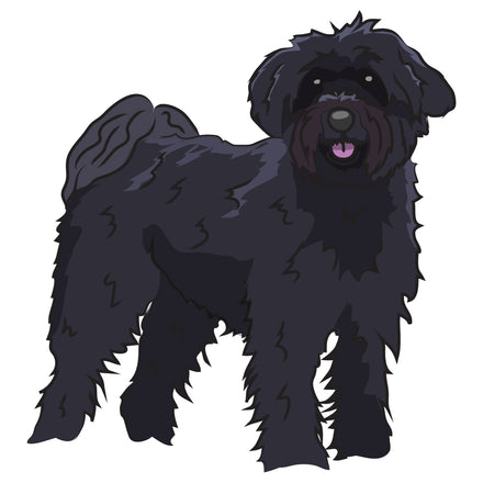 Schnoodle Dog Decal