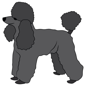 Toy Poodle Dog Decal