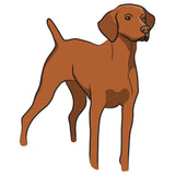 Vizsla Dog Decal