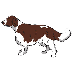 Welsh Springer Spaniel Dog Decal