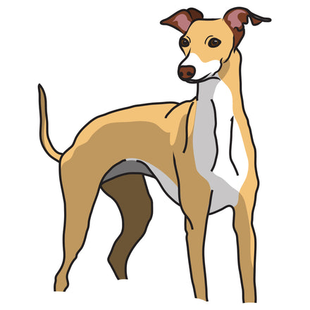 Whippet Dog Decal