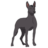 Xoloitzcuintli Dog Decal