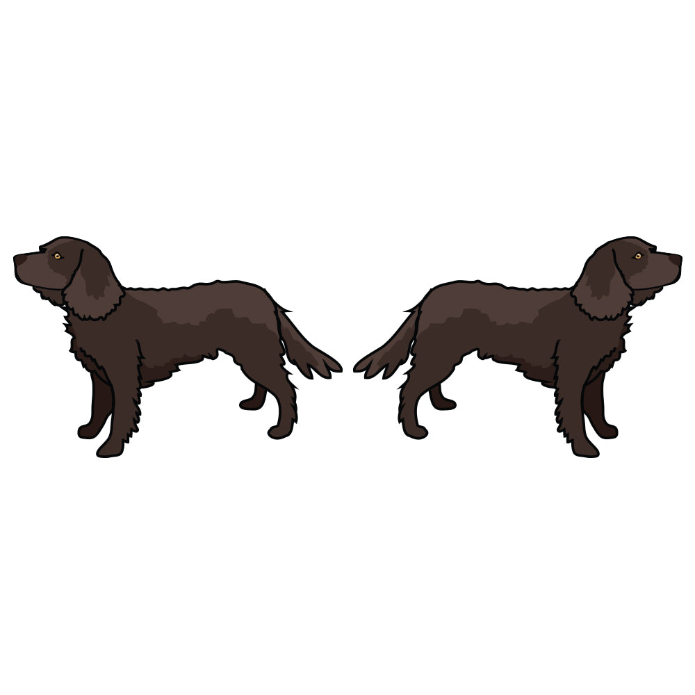American Water Spaniel Dog Decal