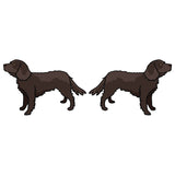 American Water Spaniel Dog Decal