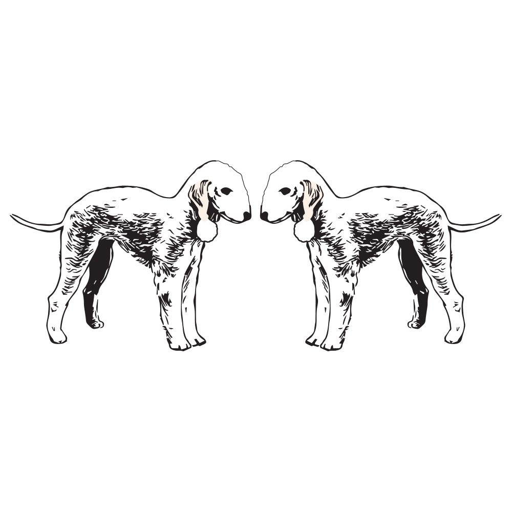 Bedlington Terrier Dog Decal
