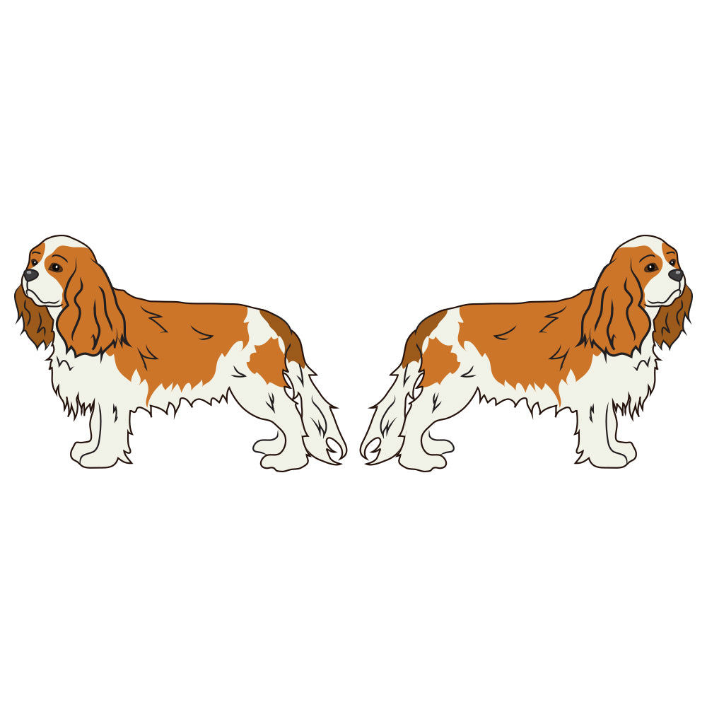 Cavalier King Charles Spaniel Dog Decal