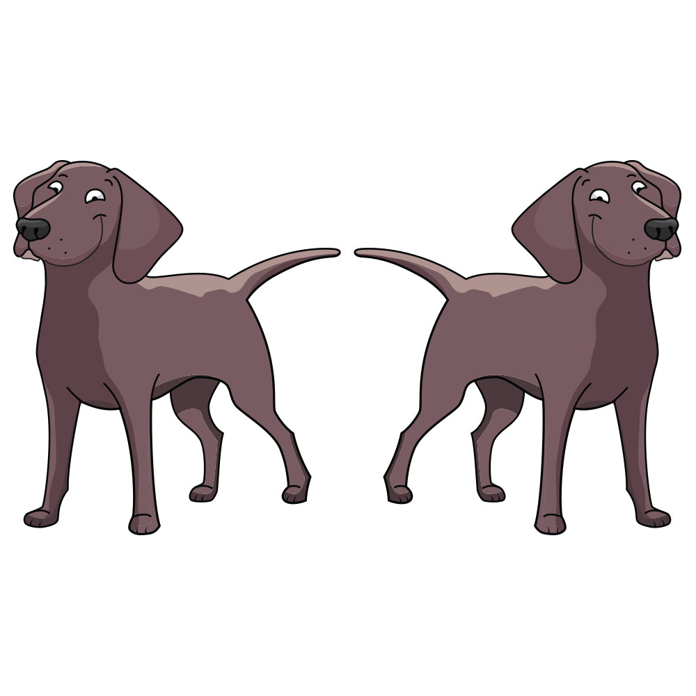 Chesapeake Bay Retriever Dog Decal