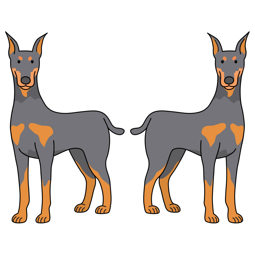 Doberman Pinscher Dog Decal