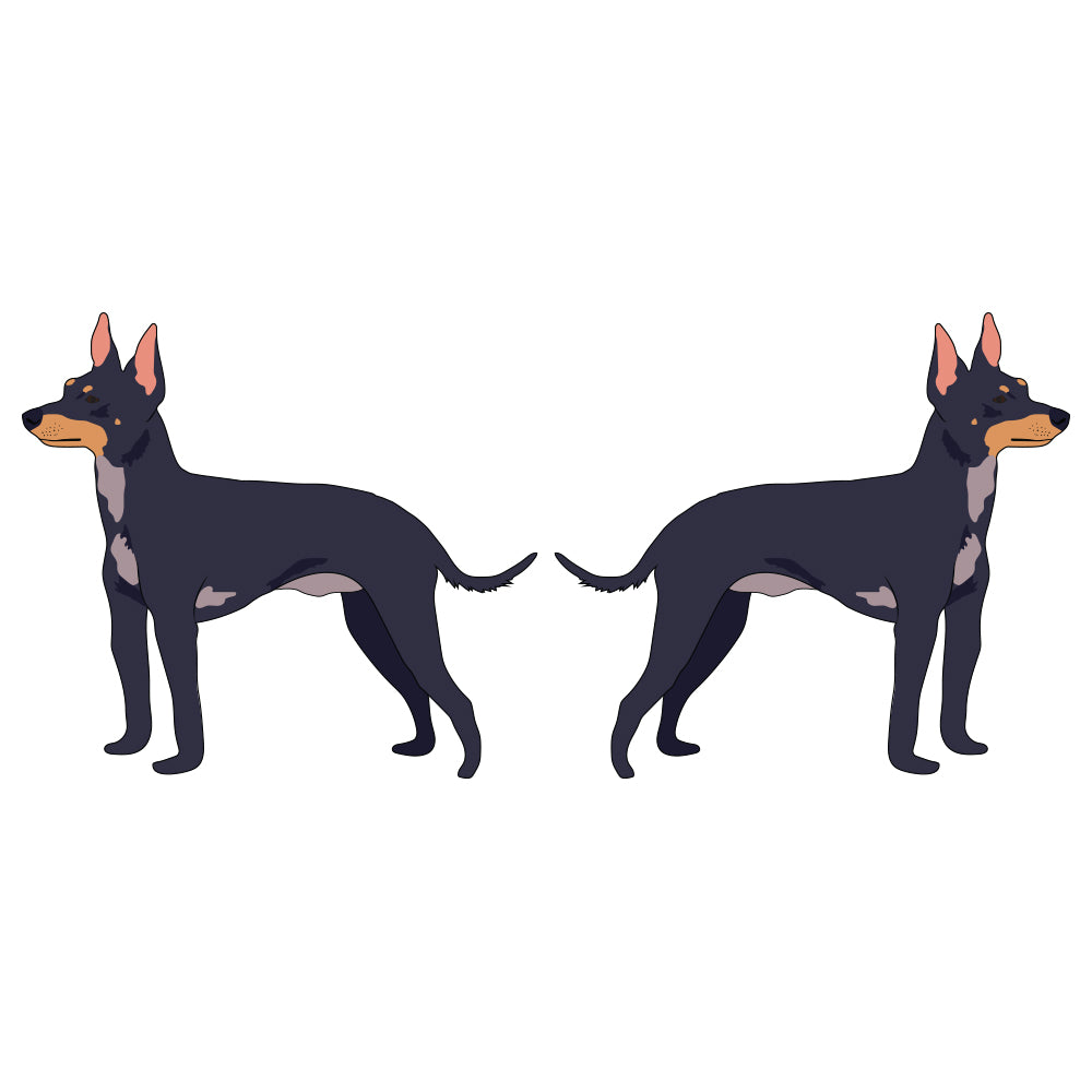 English Toy Terrier Dog Decal