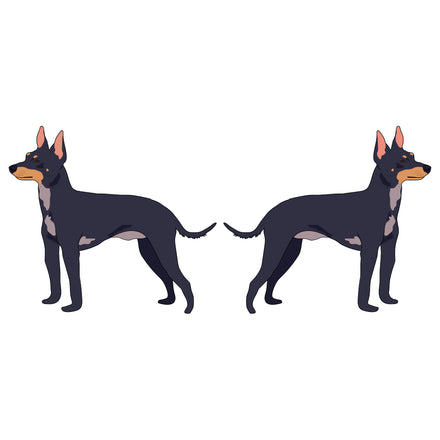 English Toy Terrier Dog Decal