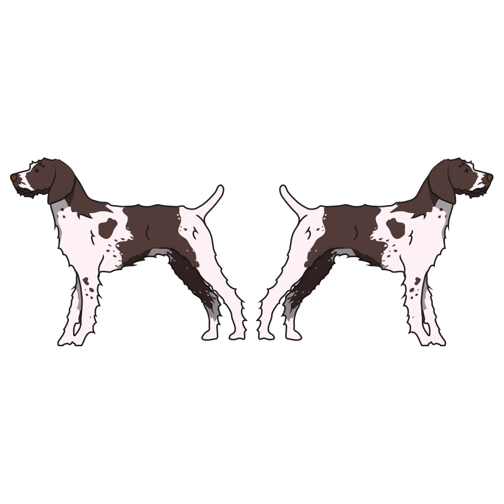 German Wirehaired Pointer Dog Decal