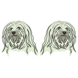 Havanese Dog Decal