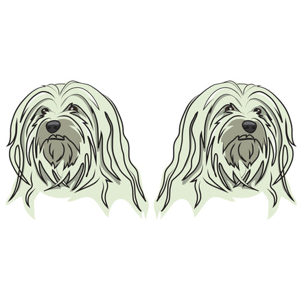 Havanese Dog Decal