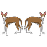 Ibizan Hound Dog Decal