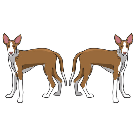 Ibizan Hound Dog Decal