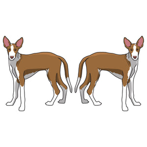 Ibizan Hound Dog Decal