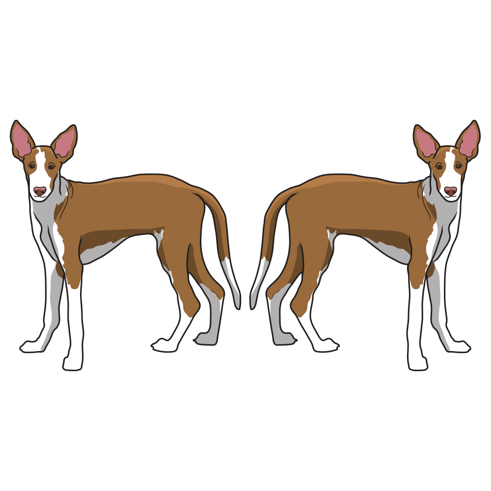 Ibizan Hound Dog Decal