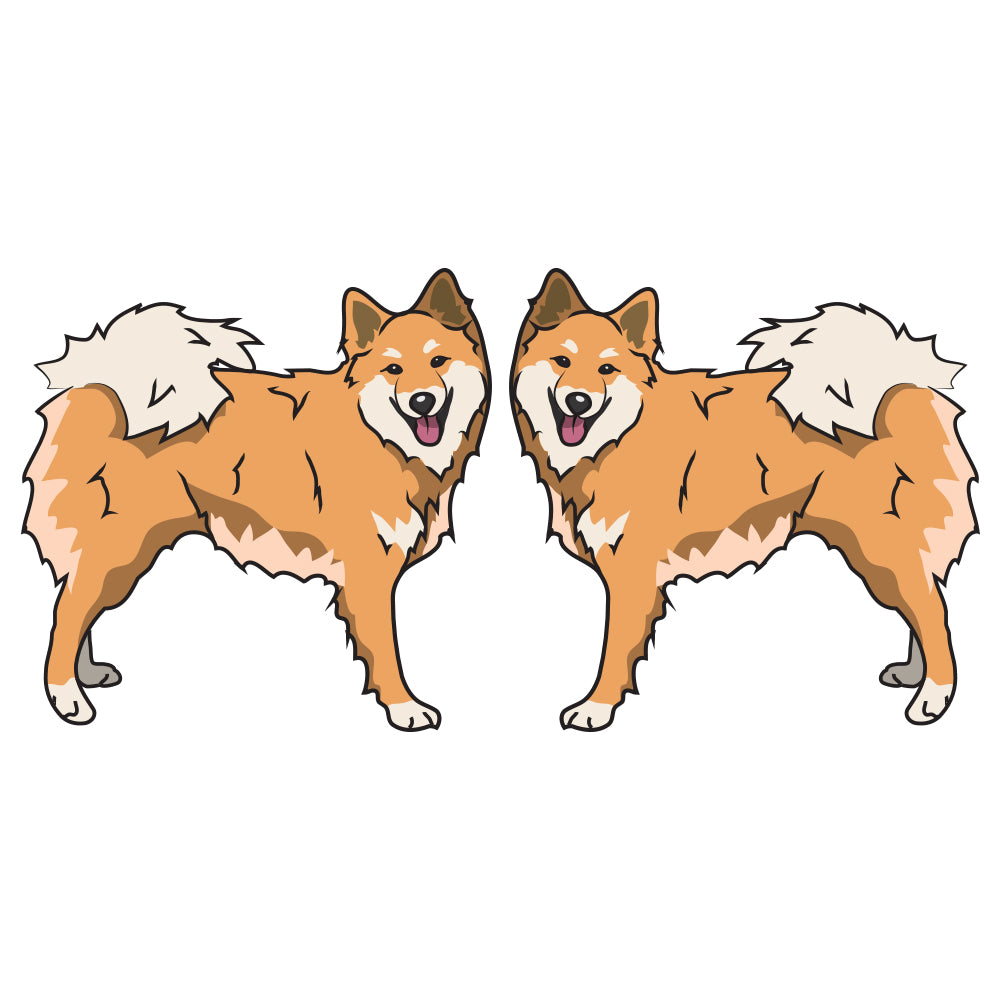 Icelandic Sheepdog Dog Decal