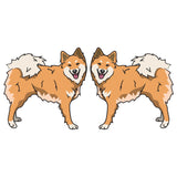 Icelandic Sheepdog Dog Decal