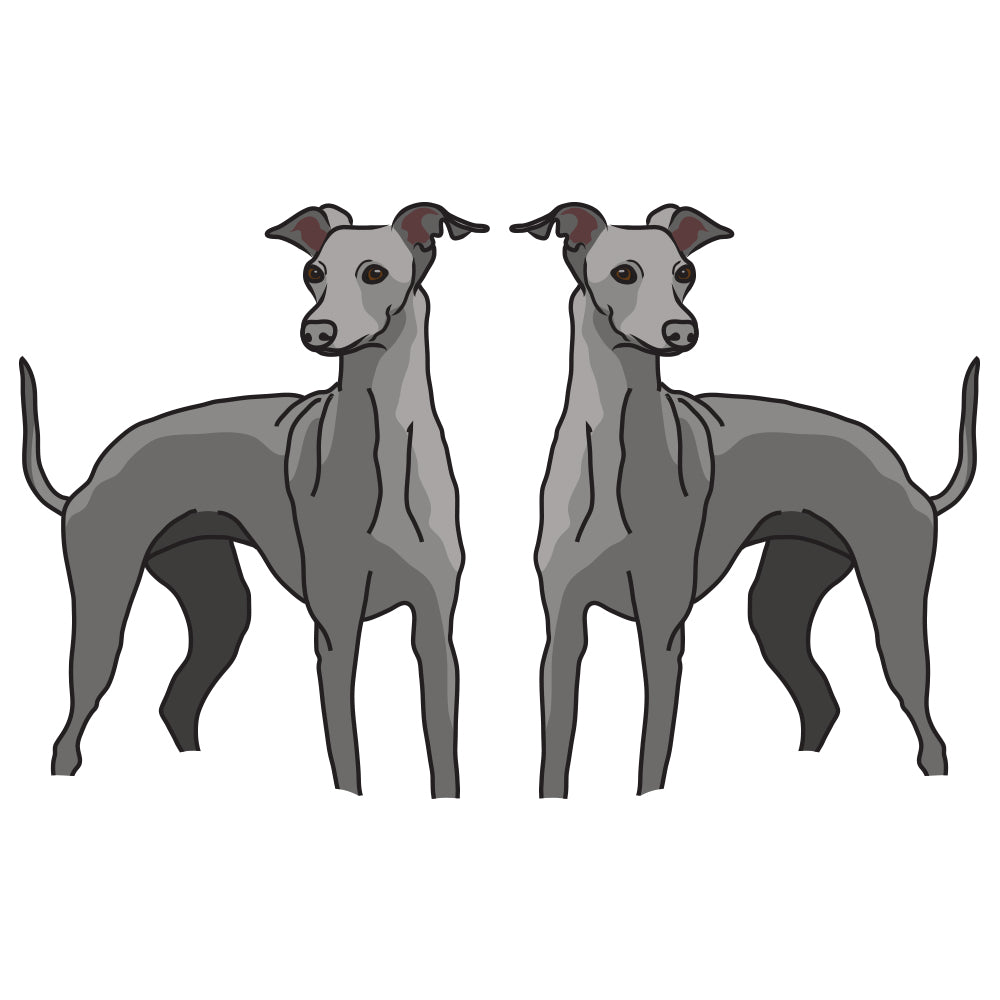 Italian Greyhound Dog Decal