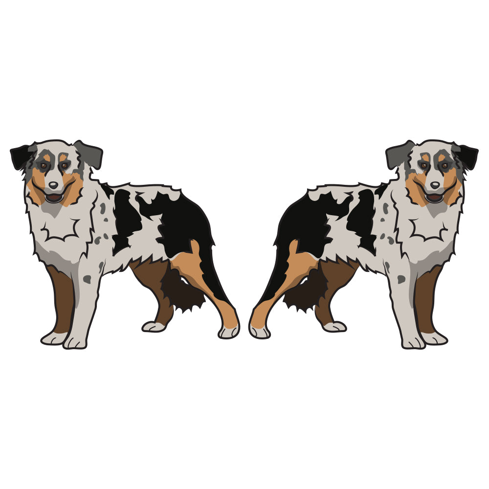Miniature American Shepherd Dog Decal